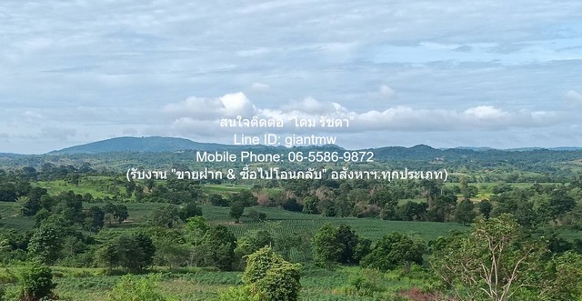 ประกาศฟรี! ซื้อ-ขาย-เช่า คอนโด บ้าน ทาวน์โฮม ที่ดิน และพื้นที่เชิงพาณิชย์ทั่วประเทศไทย ทุกทำเล ทุกงบประมาณ ไม่มีค่าใช้จ่าย ลงง่าย ขายไว เข้าถึงผู้ซื้อโดยตรง 5 313967pic4.jpg