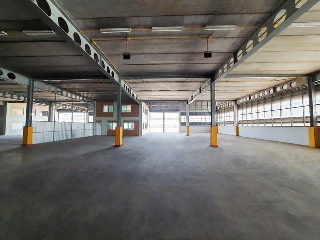 ประกาศฟรี! ซื้อ-ขาย-เช่า คอนโด บ้าน ทาวน์โฮม ที่ดิน และพื้นที่เชิงพาณิชย์ทั่วประเทศไทย ทุกทำเล ทุกงบประมาณ ไม่มีค่าใช้จ่าย ลงง่าย ขายไว เข้าถึงผู้ซื้อโดยตรง 3 512189pic2.jpg