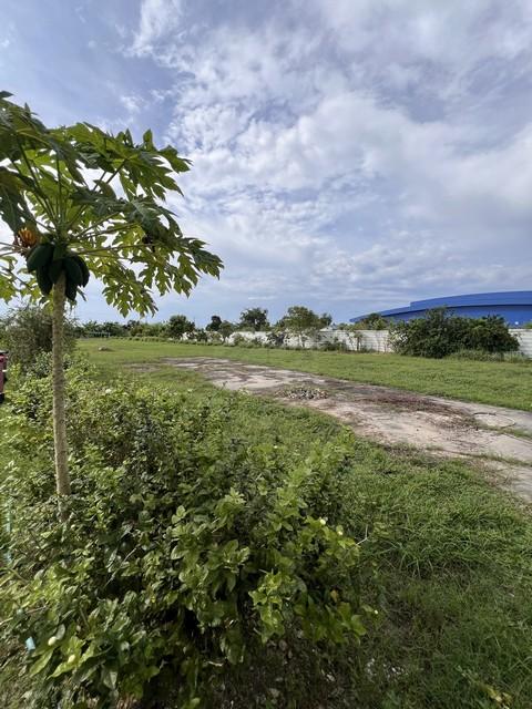 ประกาศฟรี! ซื้อ-ขาย-เช่า คอนโด บ้าน ทาวน์โฮม ที่ดิน และพื้นที่เชิงพาณิชย์ทั่วประเทศไทย ทุกทำเล ทุกงบประมาณ ไม่มีค่าใช้จ่าย ลงง่าย ขายไว เข้าถึงผู้ซื้อโดยตรง 3 512776pic2.jpg