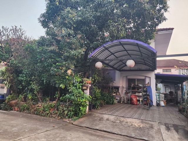 ประกาศฟรี! ซื้อ-ขาย-เช่า คอนโด บ้าน ทาวน์โฮม ที่ดิน และพื้นที่เชิงพาณิชย์ทั่วประเทศไทย ทุกทำเล ทุกงบประมาณ ไม่มีค่าใช้จ่าย ลงง่าย ขายไว เข้าถึงผู้ซื้อโดยตรง 2 13901pic1.jpg