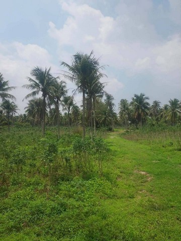 ประกาศฟรี! ซื้อ-ขาย-เช่า คอนโด บ้าน ทาวน์โฮม ที่ดิน และพื้นที่เชิงพาณิชย์ทั่วประเทศไทย ทุกทำเล ทุกงบประมาณ ไม่มีค่าใช้จ่าย ลงง่าย ขายไว เข้าถึงผู้ซื้อโดยตรง 4 314523pic3.jpg