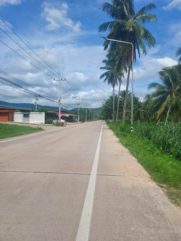 ประกาศฟรี! ซื้อ-ขาย-เช่า คอนโด บ้าน ทาวน์โฮม ที่ดิน และพื้นที่เชิงพาณิชย์ทั่วประเทศไทย ทุกทำเล ทุกงบประมาณ ไม่มีค่าใช้จ่าย ลงง่าย ขายไว เข้าถึงผู้ซื้อโดยตรง 5 314523pic4.jpg