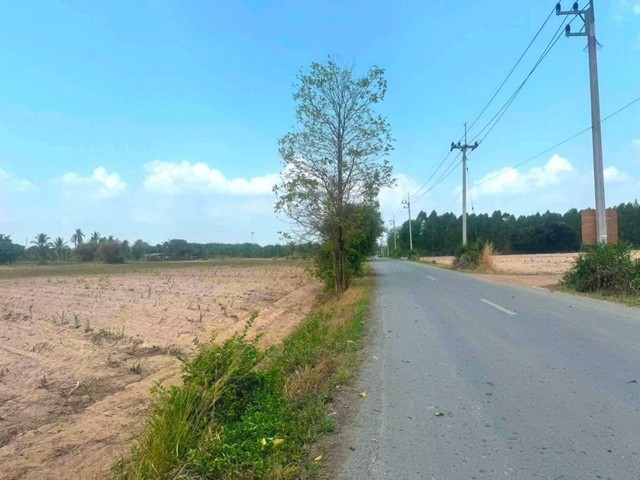 ประกาศฟรี! ซื้อ-ขาย-เช่า คอนโด บ้าน ทาวน์โฮม ที่ดิน และพื้นที่เชิงพาณิชย์ทั่วประเทศไทย ทุกทำเล ทุกงบประมาณ ไม่มีค่าใช้จ่าย ลงง่าย ขายไว เข้าถึงผู้ซื้อโดยตรง 3 314522pic2.jpg