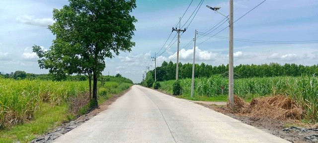 ประกาศฟรี! ซื้อ-ขาย-เช่า คอนโด บ้าน ทาวน์โฮม ที่ดิน และพื้นที่เชิงพาณิชย์ทั่วประเทศไทย ทุกทำเล ทุกงบประมาณ ไม่มีค่าใช้จ่าย ลงง่าย ขายไว เข้าถึงผู้ซื้อโดยตรง 5 314522pic4.jpg