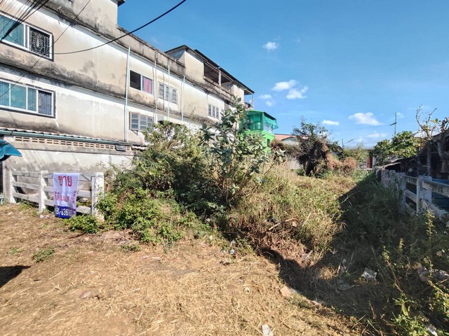 ประกาศฟรี! ซื้อ-ขาย-เช่า คอนโด บ้าน ทาวน์โฮม ที่ดิน และพื้นที่เชิงพาณิชย์ทั่วประเทศไทย ทุกทำเล ทุกงบประมาณ ไม่มีค่าใช้จ่าย ลงง่าย ขายไว เข้าถึงผู้ซื้อโดยตรง 5 293885pic4.jpg