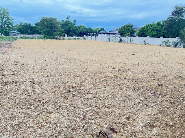 ประกาศฟรี! ซื้อ-ขาย-เช่า คอนโด บ้าน ทาวน์โฮม ที่ดิน และพื้นที่เชิงพาณิชย์ทั่วประเทศไทย ทุกทำเล ทุกงบประมาณ ไม่มีค่าใช้จ่าย ลงง่าย ขายไว เข้าถึงผู้ซื้อโดยตรง 5 314532pic4.jpg