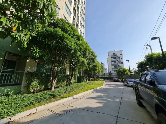 ประกาศฟรี! ซื้อ-ขาย-เช่า คอนโด บ้าน ทาวน์โฮม ที่ดิน และพื้นที่เชิงพาณิชย์ทั่วประเทศไทย ทุกทำเล ทุกงบประมาณ ไม่มีค่าใช้จ่าย ลงง่าย ขายไว เข้าถึงผู้ซื้อโดยตรง 3 249978pic2.jpg