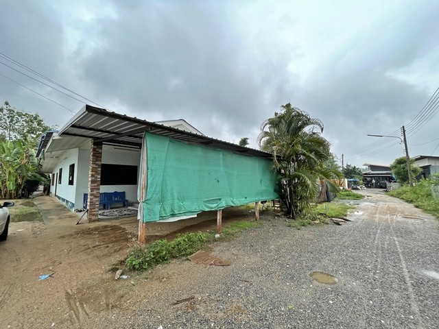 ประกาศฟรี! ซื้อ-ขาย-เช่า คอนโด บ้าน ทาวน์โฮม ที่ดิน และพื้นที่เชิงพาณิชย์ทั่วประเทศไทย ทุกทำเล ทุกงบประมาณ ไม่มีค่าใช้จ่าย ลงง่าย ขายไว เข้าถึงผู้ซื้อโดยตรง 2 250902pic1.jpg