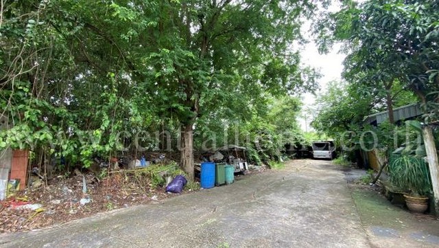 ประกาศฟรี! ซื้อ-ขาย-เช่า คอนโด บ้าน ทาวน์โฮม ที่ดิน และพื้นที่เชิงพาณิชย์ทั่วประเทศไทย ทุกทำเล ทุกงบประมาณ ไม่มีค่าใช้จ่าย ลงง่าย ขายไว เข้าถึงผู้ซื้อโดยตรง 5 165720pic4.jpg