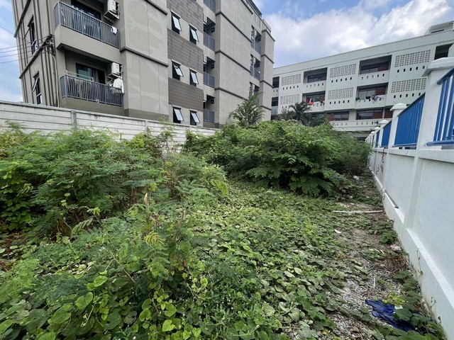 ประกาศฟรี! ซื้อ-ขาย-เช่า คอนโด บ้าน ทาวน์โฮม ที่ดิน และพื้นที่เชิงพาณิชย์ทั่วประเทศไทย ทุกทำเล ทุกงบประมาณ ไม่มีค่าใช้จ่าย ลงง่าย ขายไว เข้าถึงผู้ซื้อโดยตรง 5 314561pic4.jpg