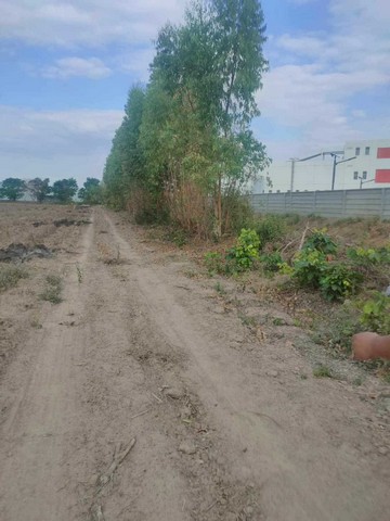 ประกาศฟรี! ซื้อ-ขาย-เช่า คอนโด บ้าน ทาวน์โฮม ที่ดิน และพื้นที่เชิงพาณิชย์ทั่วประเทศไทย ทุกทำเล ทุกงบประมาณ ไม่มีค่าใช้จ่าย ลงง่าย ขายไว เข้าถึงผู้ซื้อโดยตรง 3 314559pic2.jpg