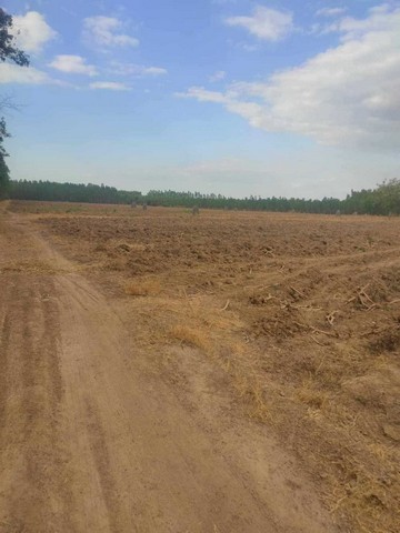 ประกาศฟรี! ซื้อ-ขาย-เช่า คอนโด บ้าน ทาวน์โฮม ที่ดิน และพื้นที่เชิงพาณิชย์ทั่วประเทศไทย ทุกทำเล ทุกงบประมาณ ไม่มีค่าใช้จ่าย ลงง่าย ขายไว เข้าถึงผู้ซื้อโดยตรง 5 314559pic4.jpg