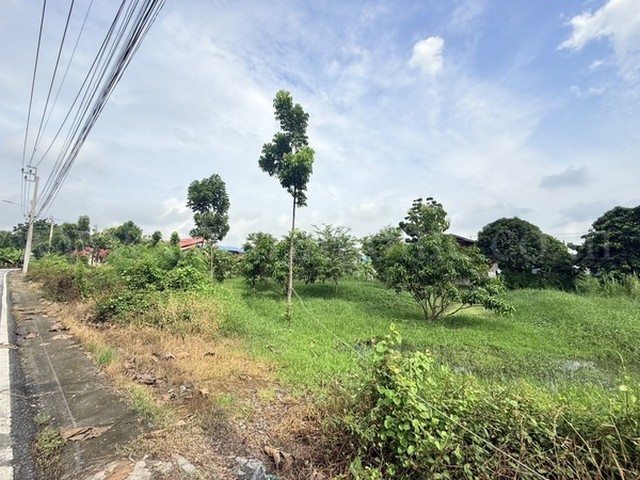 ประกาศฟรี! ซื้อ-ขาย-เช่า คอนโด บ้าน ทาวน์โฮม ที่ดิน และพื้นที่เชิงพาณิชย์ทั่วประเทศไทย ทุกทำเล ทุกงบประมาณ ไม่มีค่าใช้จ่าย ลงง่าย ขายไว เข้าถึงผู้ซื้อโดยตรง 4 291748pic3.jpg