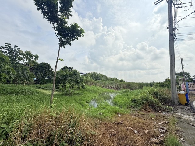 ประกาศฟรี! ซื้อ-ขาย-เช่า คอนโด บ้าน ทาวน์โฮม ที่ดิน และพื้นที่เชิงพาณิชย์ทั่วประเทศไทย ทุกทำเล ทุกงบประมาณ ไม่มีค่าใช้จ่าย ลงง่าย ขายไว เข้าถึงผู้ซื้อโดยตรง 5 291748pic4.jpg