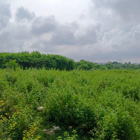 ประกาศฟรี! ซื้อ-ขาย-เช่า คอนโด บ้าน ทาวน์โฮม ที่ดิน และพื้นที่เชิงพาณิชย์ทั่วประเทศไทย ทุกทำเล ทุกงบประมาณ ไม่มีค่าใช้จ่าย ลงง่าย ขายไว เข้าถึงผู้ซื้อโดยตรง 2 295965pic1.jpg