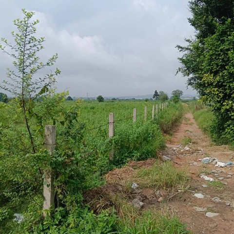 ประกาศฟรี! ซื้อ-ขาย-เช่า คอนโด บ้าน ทาวน์โฮม ที่ดิน และพื้นที่เชิงพาณิชย์ทั่วประเทศไทย ทุกทำเล ทุกงบประมาณ ไม่มีค่าใช้จ่าย ลงง่าย ขายไว เข้าถึงผู้ซื้อโดยตรง 3 295965pic2.jpg