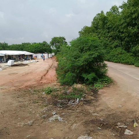 ประกาศฟรี! ซื้อ-ขาย-เช่า คอนโด บ้าน ทาวน์โฮม ที่ดิน และพื้นที่เชิงพาณิชย์ทั่วประเทศไทย ทุกทำเล ทุกงบประมาณ ไม่มีค่าใช้จ่าย ลงง่าย ขายไว เข้าถึงผู้ซื้อโดยตรง 4 295965pic3.jpg