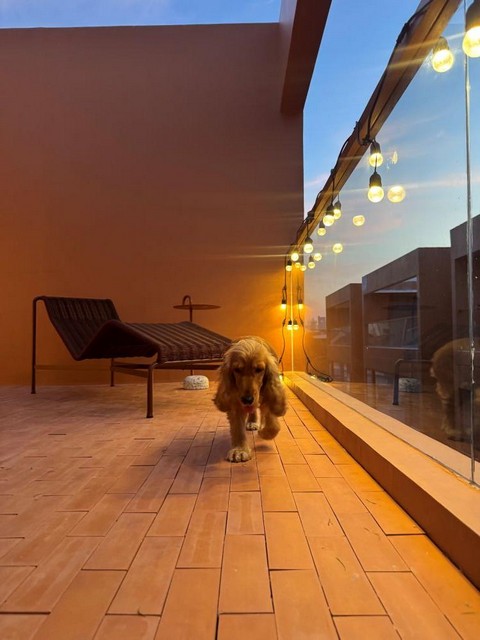 ประกาศฟรี! ซื้อ-ขาย-เช่า คอนโด บ้าน ทาวน์โฮม ที่ดิน และพื้นที่เชิงพาณิชย์ทั่วประเทศไทย ทุกทำเล ทุกงบประมาณ ไม่มีค่าใช้จ่าย ลงง่าย ขายไว เข้าถึงผู้ซื้อโดยตรง 2 512282pic1.jpg