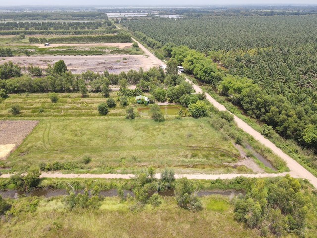 ประกาศฟรี! ซื้อ-ขาย-เช่า คอนโด บ้าน ทาวน์โฮม ที่ดิน และพื้นที่เชิงพาณิชย์ทั่วประเทศไทย ทุกทำเล ทุกงบประมาณ ไม่มีค่าใช้จ่าย ลงง่าย ขายไว เข้าถึงผู้ซื้อโดยตรง 3 293783pic2.jpg