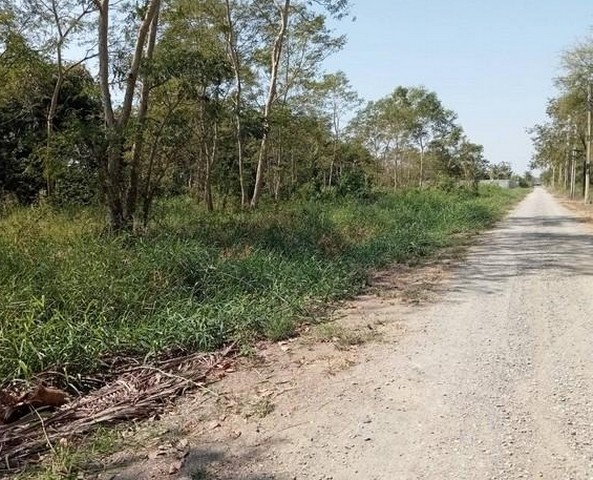 ประกาศฟรี! ซื้อ-ขาย-เช่า คอนโด บ้าน ทาวน์โฮม ที่ดิน และพื้นที่เชิงพาณิชย์ทั่วประเทศไทย ทุกทำเล ทุกงบประมาณ ไม่มีค่าใช้จ่าย ลงง่าย ขายไว เข้าถึงผู้ซื้อโดยตรง 3 293910pic2.jpg