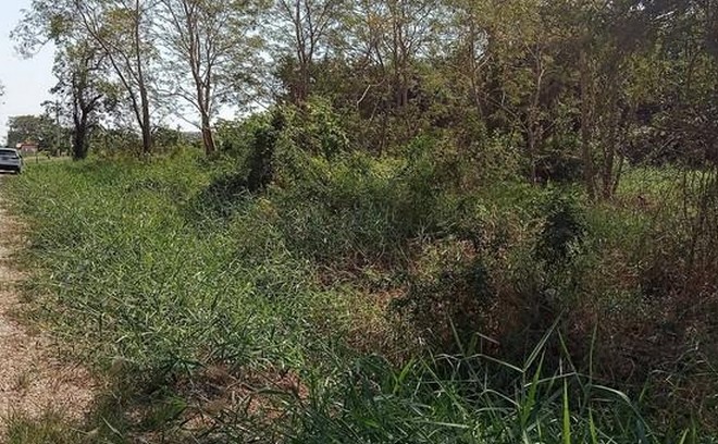 ประกาศฟรี! ซื้อ-ขาย-เช่า คอนโด บ้าน ทาวน์โฮม ที่ดิน และพื้นที่เชิงพาณิชย์ทั่วประเทศไทย ทุกทำเล ทุกงบประมาณ ไม่มีค่าใช้จ่าย ลงง่าย ขายไว เข้าถึงผู้ซื้อโดยตรง 5 293910pic4.jpg