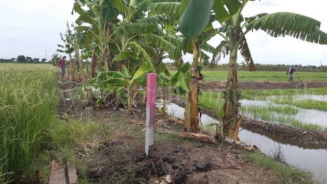 ประกาศฟรี! ซื้อ-ขาย-เช่า คอนโด บ้าน ทาวน์โฮม ที่ดิน และพื้นที่เชิงพาณิชย์ทั่วประเทศไทย ทุกทำเล ทุกงบประมาณ ไม่มีค่าใช้จ่าย ลงง่าย ขายไว เข้าถึงผู้ซื้อโดยตรง 4 251106pic3.jpg