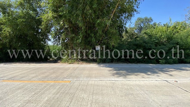 ประกาศฟรี! ซื้อ-ขาย-เช่า คอนโด บ้าน ทาวน์โฮม ที่ดิน และพื้นที่เชิงพาณิชย์ทั่วประเทศไทย ทุกทำเล ทุกงบประมาณ ไม่มีค่าใช้จ่าย ลงง่าย ขายไว เข้าถึงผู้ซื้อโดยตรง 5 284078pic4.jpg