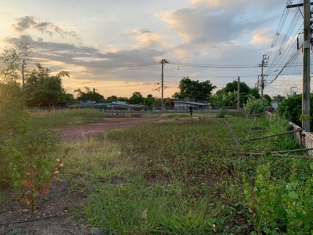 ประกาศฟรี! ซื้อ-ขาย-เช่า คอนโด บ้าน ทาวน์โฮม ที่ดิน และพื้นที่เชิงพาณิชย์ทั่วประเทศไทย ทุกทำเล ทุกงบประมาณ ไม่มีค่าใช้จ่าย ลงง่าย ขายไว เข้าถึงผู้ซื้อโดยตรง 5 513198pic4.jpg