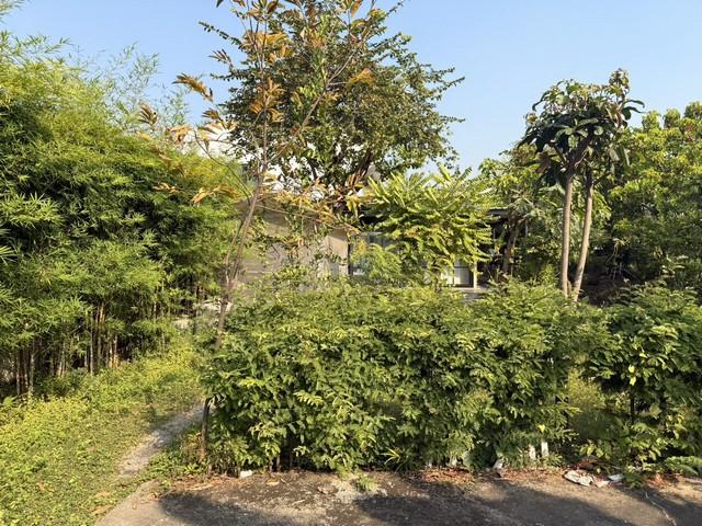 ประกาศฟรี! ซื้อ-ขาย-เช่า คอนโด บ้าน ทาวน์โฮม ที่ดิน และพื้นที่เชิงพาณิชย์ทั่วประเทศไทย ทุกทำเล ทุกงบประมาณ ไม่มีค่าใช้จ่าย ลงง่าย ขายไว เข้าถึงผู้ซื้อโดยตรง 4 513138pic3.jpg