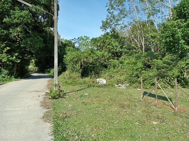 ประกาศฟรี! ซื้อ-ขาย-เช่า คอนโด บ้าน ทาวน์โฮม ที่ดิน และพื้นที่เชิงพาณิชย์ทั่วประเทศไทย ทุกทำเล ทุกงบประมาณ ไม่มีค่าใช้จ่าย ลงง่าย ขายไว เข้าถึงผู้ซื้อโดยตรง 2 251094pic1.jpg