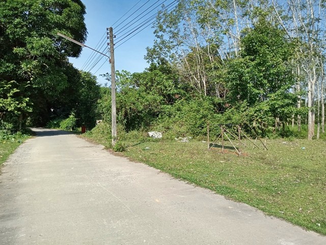 ประกาศฟรี! ซื้อ-ขาย-เช่า คอนโด บ้าน ทาวน์โฮม ที่ดิน และพื้นที่เชิงพาณิชย์ทั่วประเทศไทย ทุกทำเล ทุกงบประมาณ ไม่มีค่าใช้จ่าย ลงง่าย ขายไว เข้าถึงผู้ซื้อโดยตรง 3 251094pic2.jpg