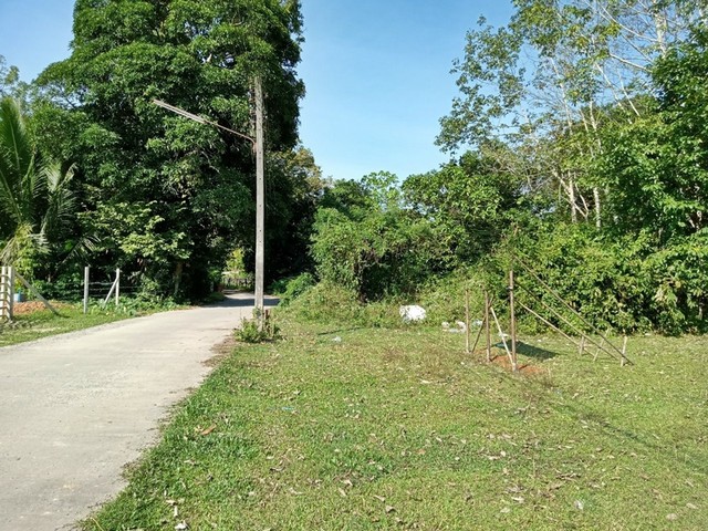 ประกาศฟรี! ซื้อ-ขาย-เช่า คอนโด บ้าน ทาวน์โฮม ที่ดิน และพื้นที่เชิงพาณิชย์ทั่วประเทศไทย ทุกทำเล ทุกงบประมาณ ไม่มีค่าใช้จ่าย ลงง่าย ขายไว เข้าถึงผู้ซื้อโดยตรง 4 251094pic3.jpg