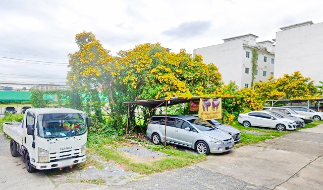 ประกาศฟรี! ซื้อ-ขาย-เช่า คอนโด บ้าน ทาวน์โฮม ที่ดิน และพื้นที่เชิงพาณิชย์ทั่วประเทศไทย ทุกทำเล ทุกงบประมาณ ไม่มีค่าใช้จ่าย ลงง่าย ขายไว เข้าถึงผู้ซื้อโดยตรง 5 251051pic4.jpg