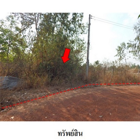 ประกาศฟรี! ซื้อ-ขาย-เช่า คอนโด บ้าน ทาวน์โฮม ที่ดิน และพื้นที่เชิงพาณิชย์ทั่วประเทศไทย ทุกทำเล ทุกงบประมาณ ไม่มีค่าใช้จ่าย ลงง่าย ขายไว เข้าถึงผู้ซื้อโดยตรง 2 237796pic1.jpg