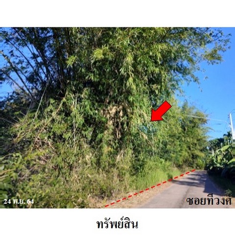 ประกาศฟรี! ซื้อ-ขาย-เช่า คอนโด บ้าน ทาวน์โฮม ที่ดิน และพื้นที่เชิงพาณิชย์ทั่วประเทศไทย ทุกทำเล ทุกงบประมาณ ไม่มีค่าใช้จ่าย ลงง่าย ขายไว เข้าถึงผู้ซื้อโดยตรง 2 237794pic1.jpg