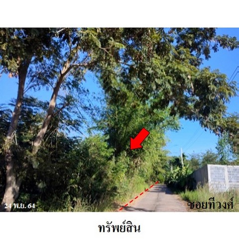 ประกาศฟรี! ซื้อ-ขาย-เช่า คอนโด บ้าน ทาวน์โฮม ที่ดิน และพื้นที่เชิงพาณิชย์ทั่วประเทศไทย ทุกทำเล ทุกงบประมาณ ไม่มีค่าใช้จ่าย ลงง่าย ขายไว เข้าถึงผู้ซื้อโดยตรง 3 237794pic2.jpg