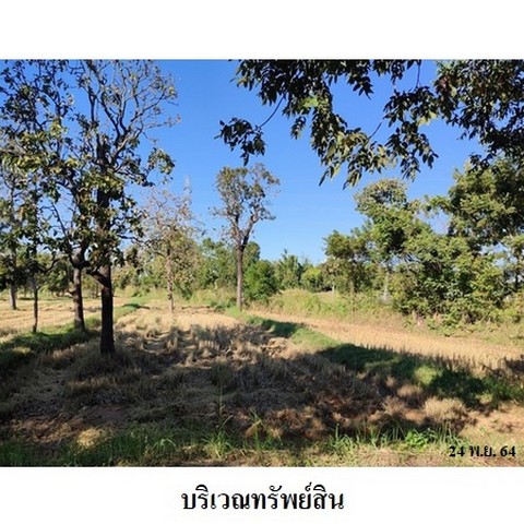 ประกาศฟรี! ซื้อ-ขาย-เช่า คอนโด บ้าน ทาวน์โฮม ที่ดิน และพื้นที่เชิงพาณิชย์ทั่วประเทศไทย ทุกทำเล ทุกงบประมาณ ไม่มีค่าใช้จ่าย ลงง่าย ขายไว เข้าถึงผู้ซื้อโดยตรง 4 237794pic3.jpg