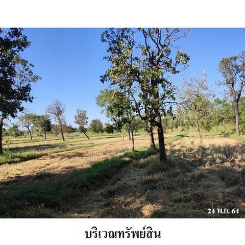 ประกาศฟรี! ซื้อ-ขาย-เช่า คอนโด บ้าน ทาวน์โฮม ที่ดิน และพื้นที่เชิงพาณิชย์ทั่วประเทศไทย ทุกทำเล ทุกงบประมาณ ไม่มีค่าใช้จ่าย ลงง่าย ขายไว เข้าถึงผู้ซื้อโดยตรง 5 237794pic4.jpg