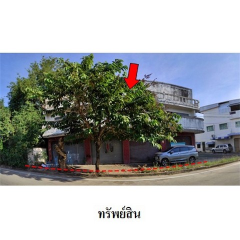 ประกาศฟรี! ซื้อ-ขาย-เช่า คอนโด บ้าน ทาวน์โฮม ที่ดิน และพื้นที่เชิงพาณิชย์ทั่วประเทศไทย ทุกทำเล ทุกงบประมาณ ไม่มีค่าใช้จ่าย ลงง่าย ขายไว เข้าถึงผู้ซื้อโดยตรง 2 237793pic1.jpg