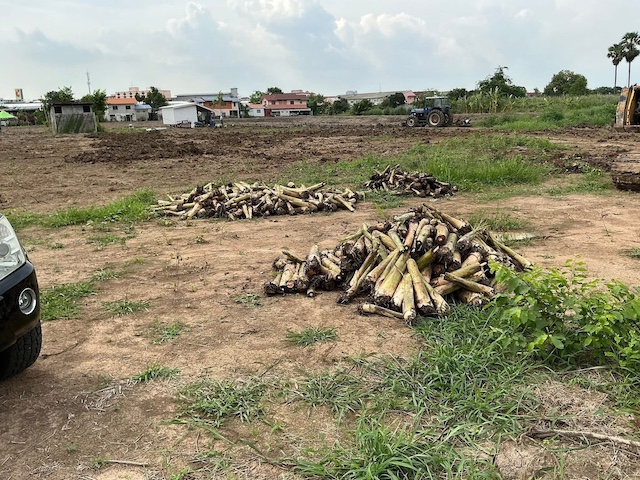 ประกาศฟรี! ซื้อ-ขาย-เช่า คอนโด บ้าน ทาวน์โฮม ที่ดิน และพื้นที่เชิงพาณิชย์ทั่วประเทศไทย ทุกทำเล ทุกงบประมาณ ไม่มีค่าใช้จ่าย ลงง่าย ขายไว เข้าถึงผู้ซื้อโดยตรง 3 512472pic2.jpg