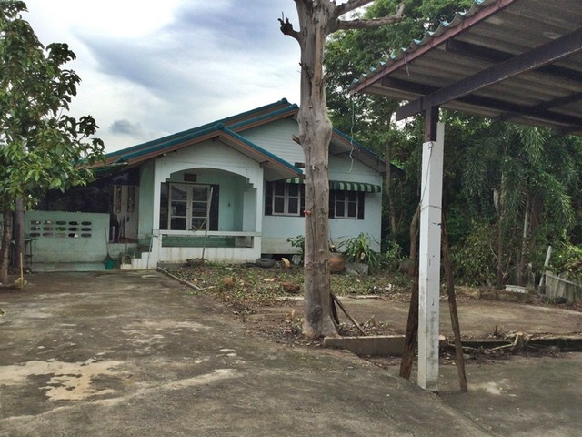 ประกาศฟรี! ซื้อ-ขาย-เช่า คอนโด บ้าน ทาวน์โฮม ที่ดิน และพื้นที่เชิงพาณิชย์ทั่วประเทศไทย ทุกทำเล ทุกงบประมาณ ไม่มีค่าใช้จ่าย ลงง่าย ขายไว เข้าถึงผู้ซื้อโดยตรง 2 251662pic1.jpg