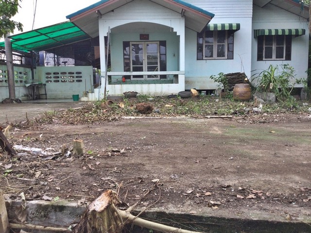 ประกาศฟรี! ซื้อ-ขาย-เช่า คอนโด บ้าน ทาวน์โฮม ที่ดิน และพื้นที่เชิงพาณิชย์ทั่วประเทศไทย ทุกทำเล ทุกงบประมาณ ไม่มีค่าใช้จ่าย ลงง่าย ขายไว เข้าถึงผู้ซื้อโดยตรง 3 251662pic2.jpg