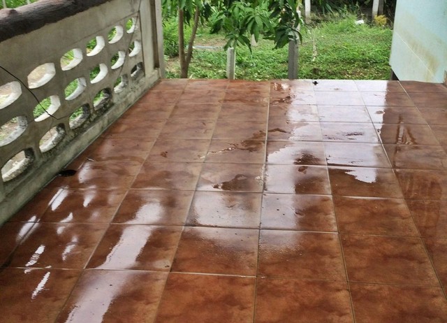 ประกาศฟรี! ซื้อ-ขาย-เช่า คอนโด บ้าน ทาวน์โฮม ที่ดิน และพื้นที่เชิงพาณิชย์ทั่วประเทศไทย ทุกทำเล ทุกงบประมาณ ไม่มีค่าใช้จ่าย ลงง่าย ขายไว เข้าถึงผู้ซื้อโดยตรง 4 251662pic3.jpg