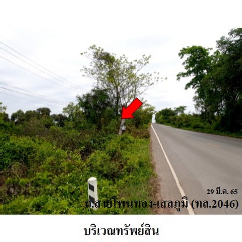 ประกาศฟรี! ซื้อ-ขาย-เช่า คอนโด บ้าน ทาวน์โฮม ที่ดิน และพื้นที่เชิงพาณิชย์ทั่วประเทศไทย ทุกทำเล ทุกงบประมาณ ไม่มีค่าใช้จ่าย ลงง่าย ขายไว เข้าถึงผู้ซื้อโดยตรง 2 237906pic1.jpg