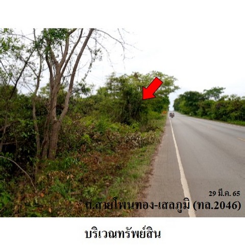 ประกาศฟรี! ซื้อ-ขาย-เช่า คอนโด บ้าน ทาวน์โฮม ที่ดิน และพื้นที่เชิงพาณิชย์ทั่วประเทศไทย ทุกทำเล ทุกงบประมาณ ไม่มีค่าใช้จ่าย ลงง่าย ขายไว เข้าถึงผู้ซื้อโดยตรง 3 237906pic2.jpg