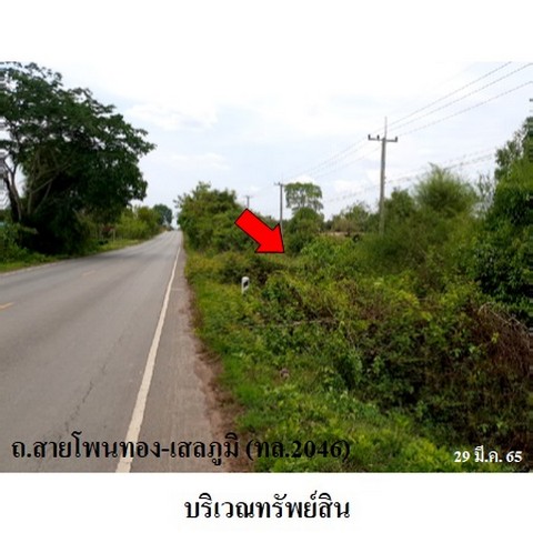 ประกาศฟรี! ซื้อ-ขาย-เช่า คอนโด บ้าน ทาวน์โฮม ที่ดิน และพื้นที่เชิงพาณิชย์ทั่วประเทศไทย ทุกทำเล ทุกงบประมาณ ไม่มีค่าใช้จ่าย ลงง่าย ขายไว เข้าถึงผู้ซื้อโดยตรง 4 237906pic3.jpg