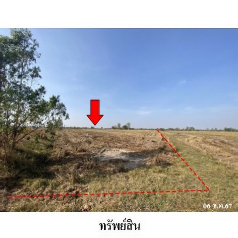 ประกาศฟรี! ซื้อ-ขาย-เช่า คอนโด บ้าน ทาวน์โฮม ที่ดิน และพื้นที่เชิงพาณิชย์ทั่วประเทศไทย ทุกทำเล ทุกงบประมาณ ไม่มีค่าใช้จ่าย ลงง่าย ขายไว เข้าถึงผู้ซื้อโดยตรง 4 237904pic3.jpg