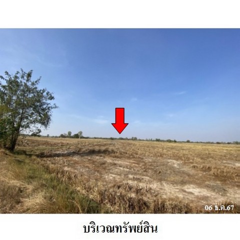 ประกาศฟรี! ซื้อ-ขาย-เช่า คอนโด บ้าน ทาวน์โฮม ที่ดิน และพื้นที่เชิงพาณิชย์ทั่วประเทศไทย ทุกทำเล ทุกงบประมาณ ไม่มีค่าใช้จ่าย ลงง่าย ขายไว เข้าถึงผู้ซื้อโดยตรง 5 237904pic4.jpg