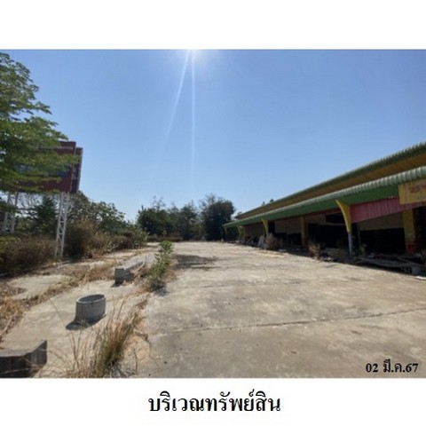 ประกาศฟรี! ซื้อ-ขาย-เช่า คอนโด บ้าน ทาวน์โฮม ที่ดิน และพื้นที่เชิงพาณิชย์ทั่วประเทศไทย ทุกทำเล ทุกงบประมาณ ไม่มีค่าใช้จ่าย ลงง่าย ขายไว เข้าถึงผู้ซื้อโดยตรง 5 237885pic4.jpg