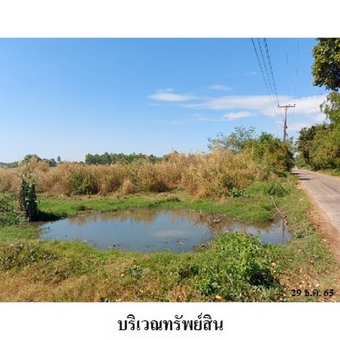 ประกาศฟรี! ซื้อ-ขาย-เช่า คอนโด บ้าน ทาวน์โฮม ที่ดิน และพื้นที่เชิงพาณิชย์ทั่วประเทศไทย ทุกทำเล ทุกงบประมาณ ไม่มีค่าใช้จ่าย ลงง่าย ขายไว เข้าถึงผู้ซื้อโดยตรง 4 237882pic3.jpg